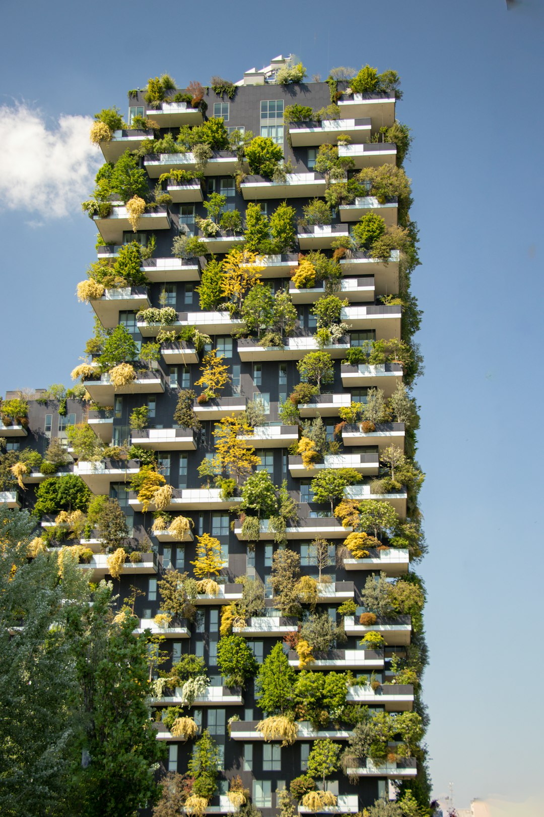 Sustainable Living Complex
